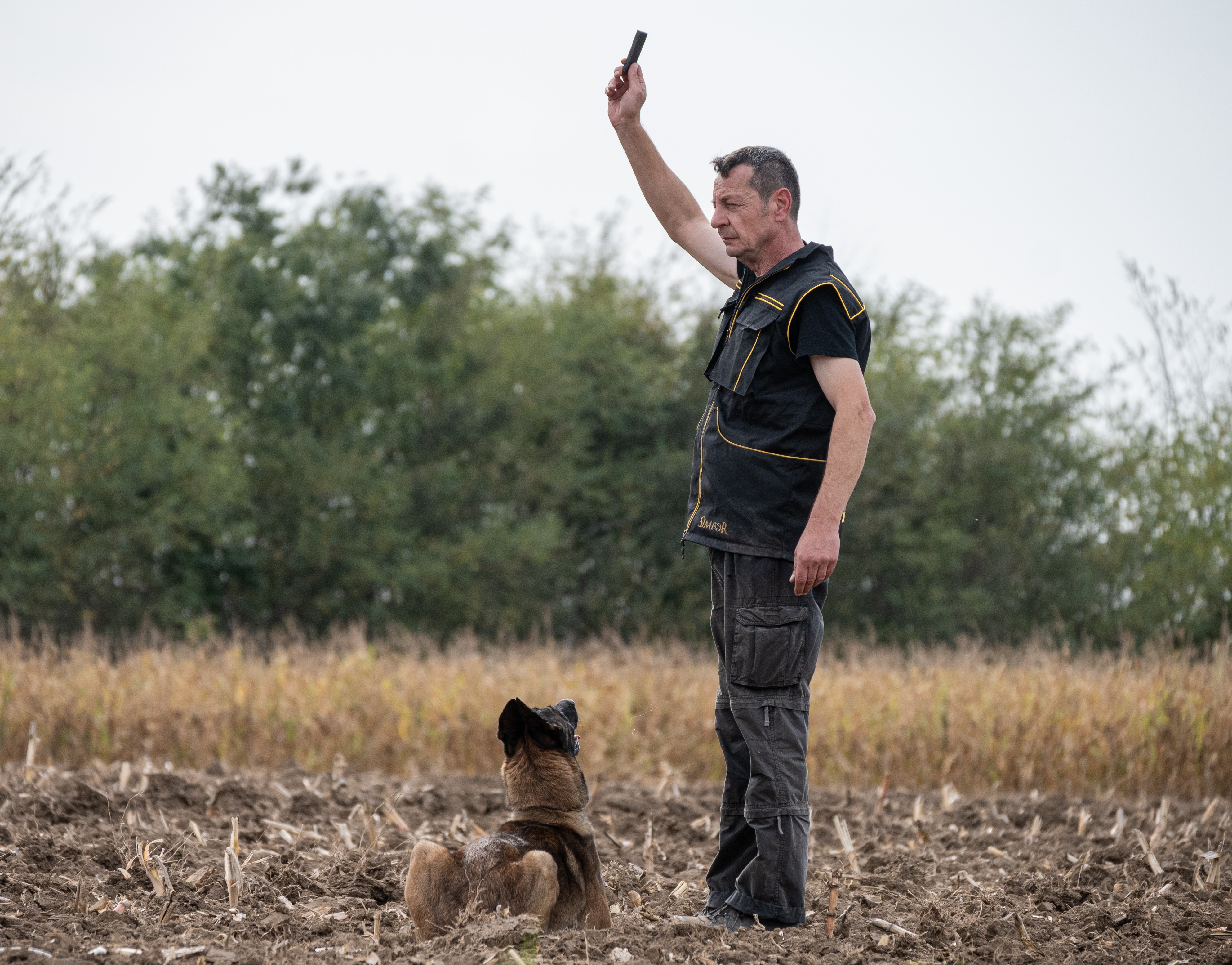 Nebojsa Ljubisavljevic